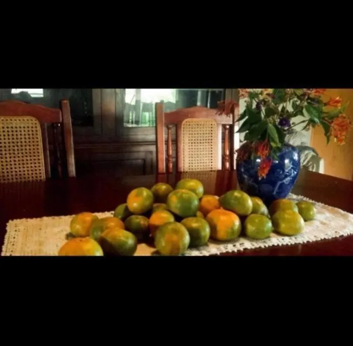 House In Nature, Between Land And Sea Le Morne-Rouge Holiday home