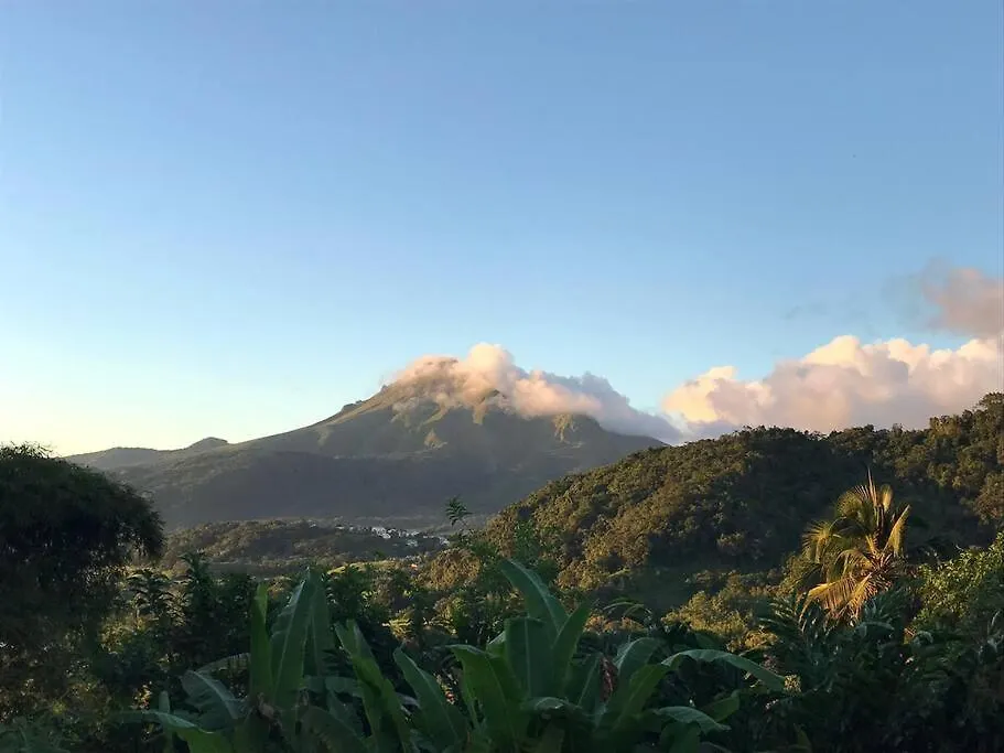 Сasa de vacaciones House In Nature, Between Land And Sea Le Morne-Rouge