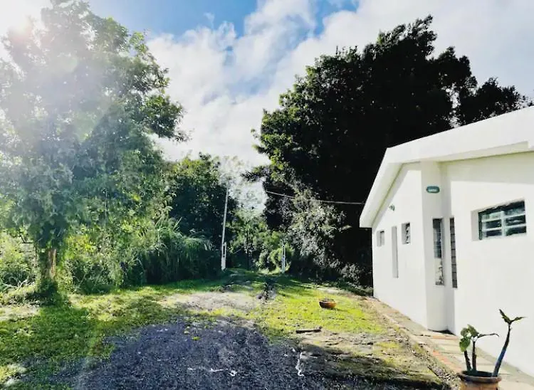 House In Nature, Between Land And Sea Le Morne-Rouge Martinique