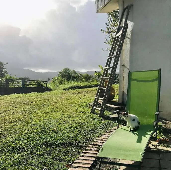 Holiday home House In Nature, Between Land And Sea Le Morne-Rouge Martinique