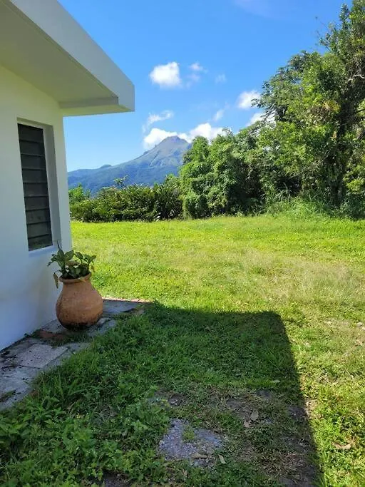 House In Nature, Between Land And Sea Le Morne-Rouge Holiday home
