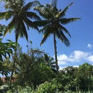  Appartement En Pleine Verdure Tropicale -10 Min
