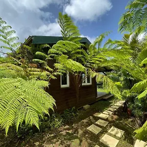  Chalet A Flanc De Colline