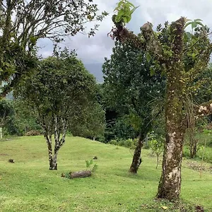  Hébergement de vacances 972b-coin De Verdure Au Pied De La Montagne Pelee