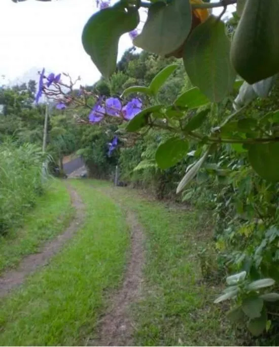 Holiday home House In Nature, Between Land And Sea Le Morne-Rouge