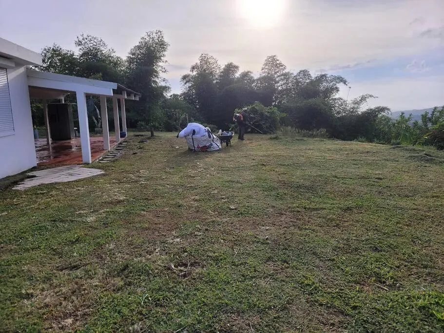 Holiday home House In Nature, Between Land And Sea Le Morne-Rouge
